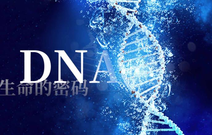 解读生命的密码——DNA