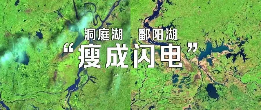 卫星影像下的洞庭湖、鄱阳湖已“瘦成闪电”！